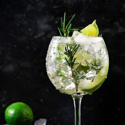Premium Gin Tonic